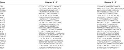 CB2R Deficiency Exacerbates Imiquimod-Induced Psoriasiform Dermatitis and Itch Through the Neuro-Immune Pathway